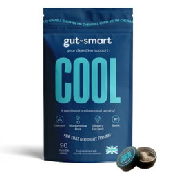gut-smart COOL Chewable Tablets Natural Heartburn Relief - 90 Chewables