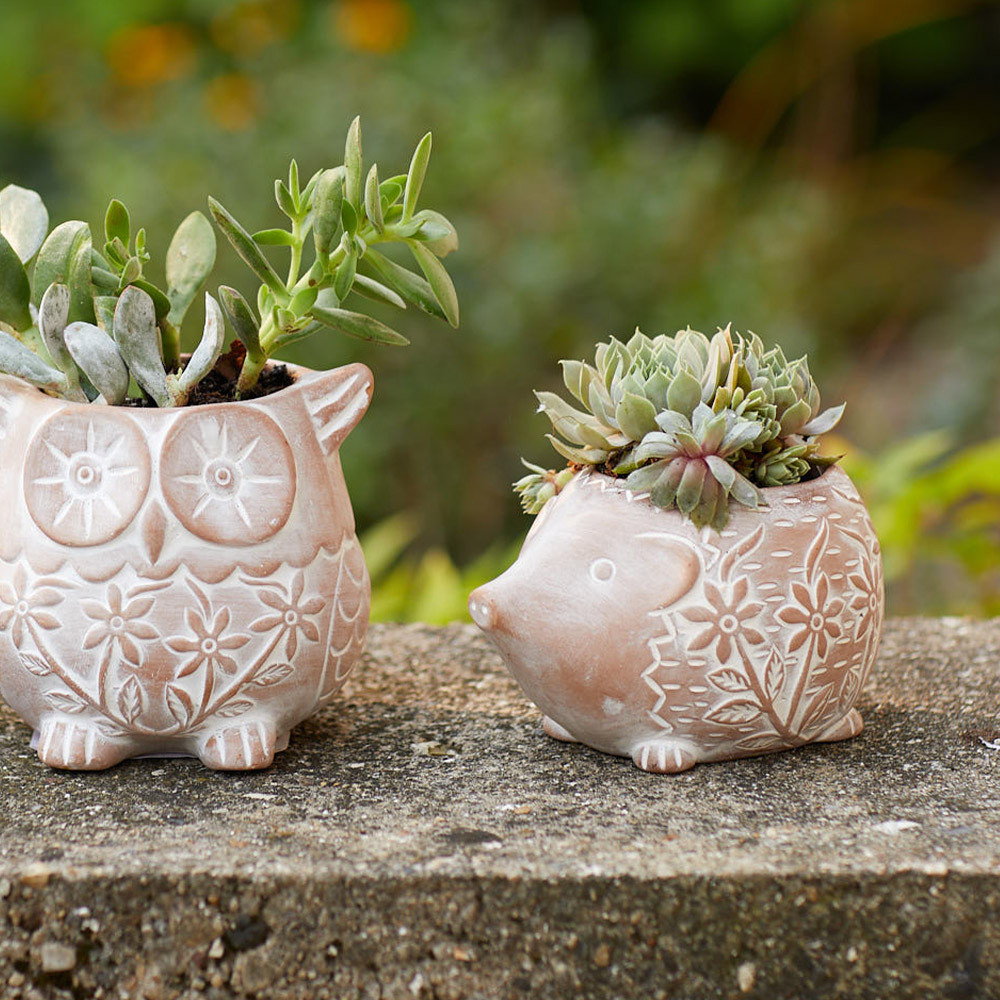 Terracotta Pots| Happy Hedgehog Fair Trade Garden Planter | SERRV