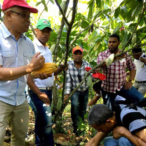 serrv global small-scale farmers