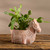 serrv burro terracotta planter alt 2 serrv burro terracotta planter alt 2