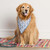 serrv large meadow pet bandana alt