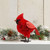serrv buri cardinal alt