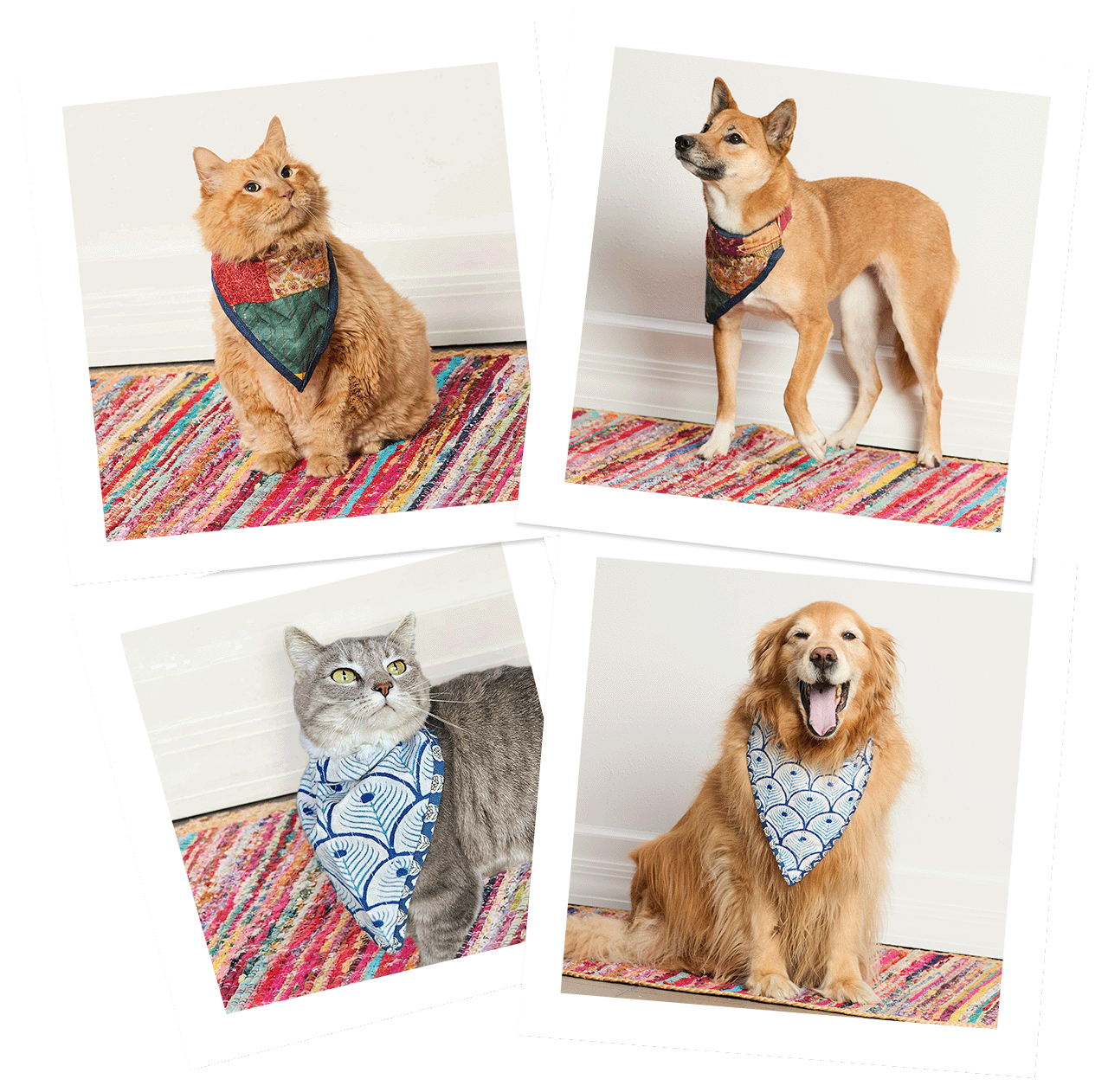 Shop for pets