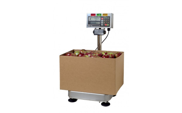 FS-6KiN Checkweighing Scale