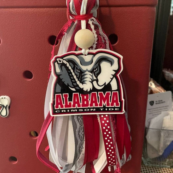 College School Theme Bogg Bag Charm Graduation Gift