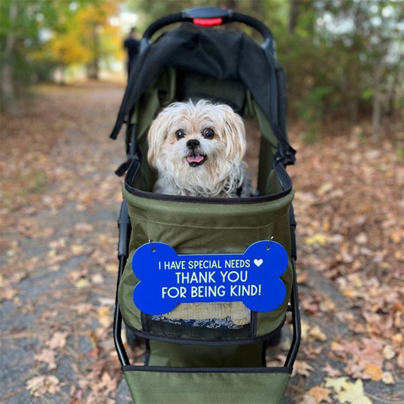 Sign for Special Needs Dogs Pet