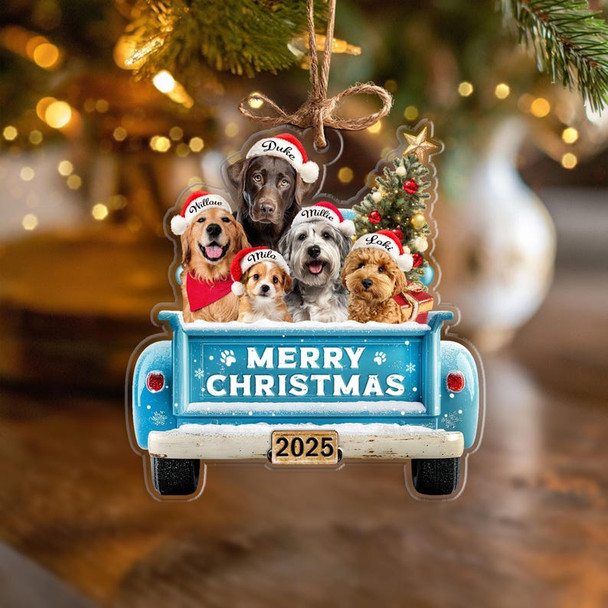 Custom Pet's First Christmas Ornament, Pet Photo Ornament