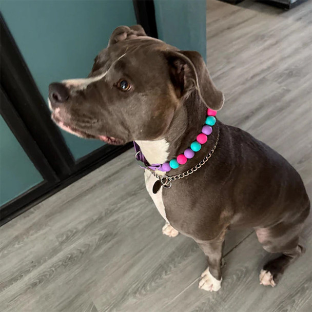 Custom beaded dog collar cute silicone bead accessories
