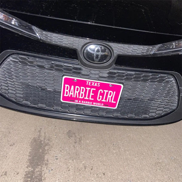 Customized Any Style License plate Any Color Any Text Design