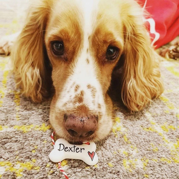 Dog Christmas decoration, personalised Christmas decoration