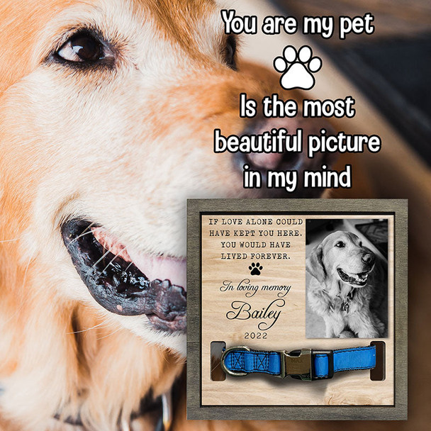 Memorial Pet Collar Frame, Black & White Photo, Loss of Dog, Cat Loss Gifts, Pet Collar Holder, Memorial Standing Frame