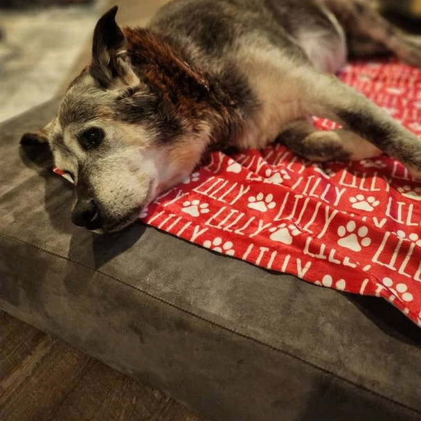 Custom Dog or Cat Name Blanket