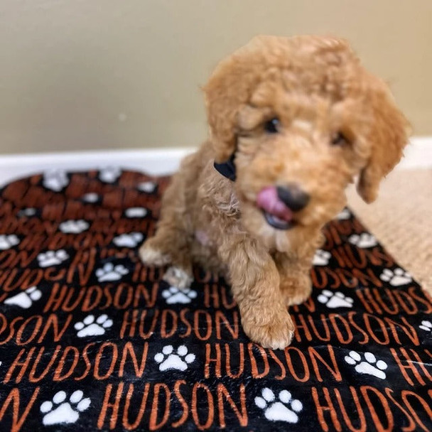 Custom Dog or Cat Name Blanket