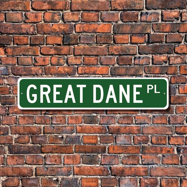 Custom Street Sign, Metal Street Sign, Personalized Street Sign