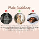 Custom Pet Golf Towel with Pet Photo, Personalized Dog Towels