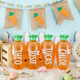 Personalized Easter Carrot Treat Holder: Easter Basket Filler