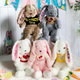Easter Bunny| Embroidered Bunny Plush| Long Ears Bunny