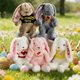 Easter Bunny| Embroidered Bunny Plush| Long Ears Bunny