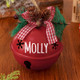 Personalized Christmas Tree Ornament,Custom 2025 Jingle Bell