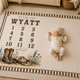 Personalized Cowboy Baby Milestone Blanket