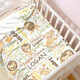 Custom Lion Name Flannel Blanket Perfect for Christmas