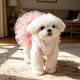 Custom Pet Tutu Dress with Name, Personalized Dog Summer Apparel
