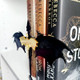 Fourth Wing Book Insert Double Dragon Bookshelf Accessory