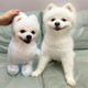 Personalized 3D Pet Pillow Custom Shape Pet Pillow Dog Pillow Cat Pillow Pet