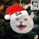 Customizable Pet Photo Christmas Ornament