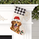 Custom Pet Stocking Using Pet's Photo  Name