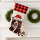 Custom Pet Stocking Using Pet's Photo  Name