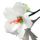 Glass Birth Month Flowers, Birth Flower Bouquet