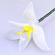 Glass Birth Month Flowers, Birth Flower Bouquet