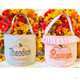 Halloween Bucket Pink/Blue Gingham w/Pumpkin Personalized | Halloween Basket