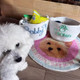 Personalized Pet Toy Basket,Cat Toy Organizer
