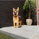 Dog Cat Pet Organizer Patio Indoor Outdoor Wood Planter