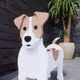 Dog Cat Pet Organizer Patio Indoor Outdoor Wood Planter