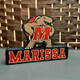 Personalized College Mascot Name Plaque Graduation Gift
