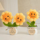 Personalized Gift for Mother ,Crochet Sunflower in Pot