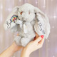 Personalised Easter Bunny, Rainbow Baby, Baby Gift, Gift For Her, Gift For Him