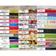 Baseball bag Tag and Softball bogg bag tag