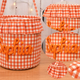Halloween Basket Ruffle Personalized,Plaid Trick or Treat Bag with Custom Name