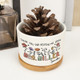Personalized Teacher Plant Pot Ceramic Mini Planter Flower Pot Back To School