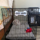 Personalized Crate Sign, Custom Dog Decor, Hanging Crate Sign, Custom Crate Sign, Dog Bone Sign