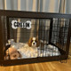 Personalized Crate Sign, Custom Dog Decor, Hanging Crate Sign, Custom Crate Sign, Dog Bone Sign