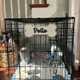Personalized Crate Sign, Custom Dog Decor, Hanging Crate Sign, Custom Crate Sign, Dog Bone Sign