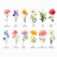 Personalized Birth Month Flowers, Mothers Day Gifts