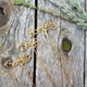 Plant Markers -Rustic Garden Sign -Potted Plants - Herb Garden