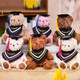 Custom Graduation Bear Graduation Gift 2026 for Grads Graduation