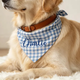 Custom Embroidered Gingham Dog Bandana